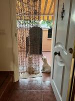 Domáce zviera alebo zvieratá hostí v ubytovaní Aguatapa Apartamento