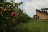Vonkajšia záhrada v ubytovaní Agriturismo Il Frutto Permesso
