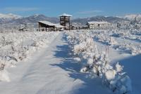 Agriturismo Il Frutto Permesso v zime