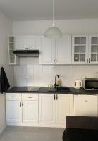 Kuchnia lub aneks kuchenny w obiekcie Apartamenty Przygodna Park