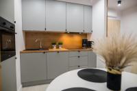 Kuchnia lub aneks kuchenny w obiekcie Nowoczesny apartament Ludova