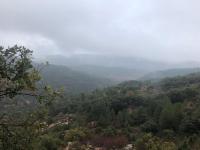 Príroda v okolí apartmánu