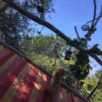 Zahrada ubytování Ferienwohnung Kunz