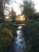 a small pond in the middle of a field at Maison d hôtes Les Chantours dans réserve naturelle 15 hectares in Saint-Antoine-Cumond