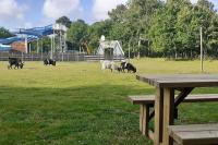 Plan piętra w obiekcie Chalet prestige camping 4* vue sur la forêt