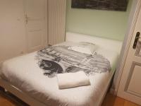 a bed with a picture of a cat on it at Chambre Ricardo in Orsay