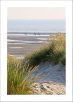 a sandy beach with grass and the ocean in the background at Le Metz, Duplex, 2 Chambres in Le Touquet-Paris-Plage