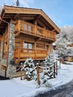 Chalet Les Cochettes v zime