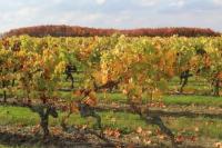 Plán poschodí v ubytovaní gîte en bord de Loire