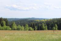 イェーシュタットにあるHotel Heilbrunnenの木の茂る草原