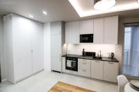 Kuchnia lub aneks kuchenny w obiekcie D Apartments Centrum Powietrze