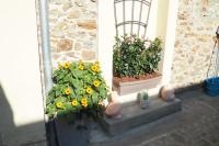 Ogród w obiekcie Appartement duplex et terrasse à St Servan-St Malo