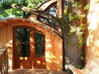 Ogród w obiekcie Cabane perchée Les Cabanes de Fallot - sauna bain-froid piscine naturelle