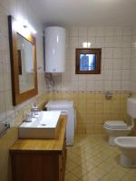 a bathroom with a sink and a toilet and a mirror at Adriana Nova Vas in Nova Vas