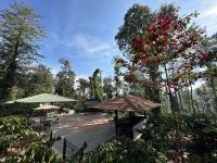 Un patio con sombrillas y un árbol con flores rojas. en Machaan Wilderness Lodge Nagarahole, en Srimangala