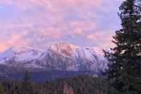 a snow covered mountain in the middle of a forest at Charmant T2 proche des pistes superbe vue in Chamrousse