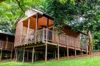 a wooden house with a deck in the trees at Hippo Waterfront Lodge in Nelspruit