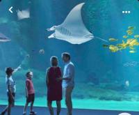 a family standing in front of a large aquarium at Charmante Villa familiale à SAINTE CECILE PLAGE in Camiers