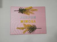 Plan piętra w obiekcie Parfum mimosa