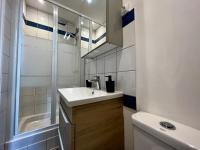 a small bathroom with a sink and a shower at Home Sweet Home in Roanne