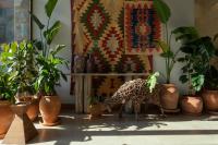 a room with potted plants and a table with a rug at Khedi Hotel Tbilisi in Tbilisi City