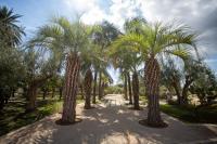 Vonkajšia záhrada v ubytovaní Cambiocavallo Resort