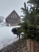 Ca' Fam Chalets v zime