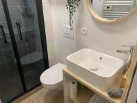 a bathroom with a sink and a toilet and a mirror at Studio entièrement refait a neuf - 170 in Rouen