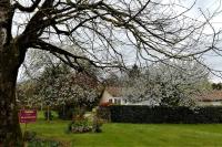 Ogród w obiekcie Calme et sérénité au gîte des hortensias