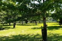 Ogród w obiekcie Calme et sérénité au gîte des hortensias