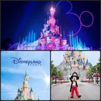 Plán poschodí v ubytovaní Jungle Love avec Balnéo à 10 min de Disneyland Paris