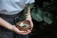 アンボン・レインフォレスト・リトリートの見取り図または間取り図