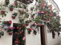 Zahrada ubytování Buhardilla de Wallada Córdoba