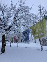 Obiekt Happy hill - appartamento Quercia - natura e relax zimą