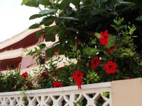 Zahrada ubytování Apartamento Pelicanos Golf & Beach - spacious and modern with terrace and private pool