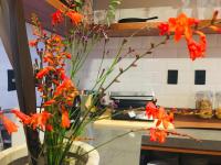 Φωτογραφία από το άλμπουμ του Hotel Pico 16 σε Monte Verde