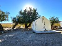 Panamint Springs Motel & Tents, Panamint Springs – Updated 2023 Prices