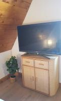 a large flat screen tv on a wooden stand with a plant at Studio Marie-Rose in Ribeauvillé