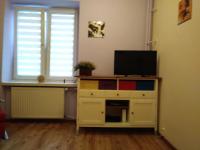 Televízia a/alebo spoločenská miestnosť v ubytovaní Apartament Eliot