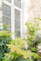 Ogród w obiekcie Maison des Pilastres au cœur d'Auxerre