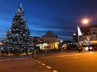 a christmas tree on the side of a street at night at Appartement A confortable et lumineux in Neufchâtel-Hardelot