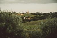 a vineyard in the distance with a church on a hill at Jardin Meurin in Tabanac