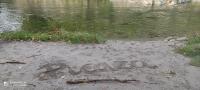 Příroda nedaleko venkovského domu