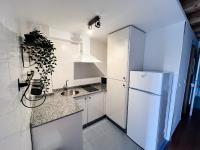 Kuchyň nebo kuchyňský kout v ubytování Apartamentos Ciudad Santiago