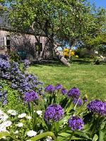 a garden with purple flowers in a yard at Les Chambres d&#39;Hôtes de Bordustard in Le Palais