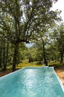 ein blauer Pool mit Bäumen im Hintergrund in der Unterkunft Villa Cinsault, un bijou pour votre séjour en Provence Verte in La Celle