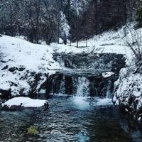 Príroda v okolí apartmánu