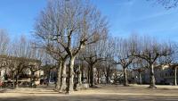 a group of trees with no leaves on them at La Peyreyre in Jaujac