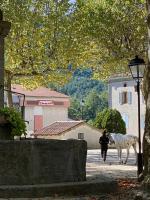 a person walking down a street with a cow at La Peyreyre in Jaujac