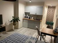 Kuchyňa alebo kuchynka v ubytovaní Apartament ROYAL Chełmońskiego Śrem
